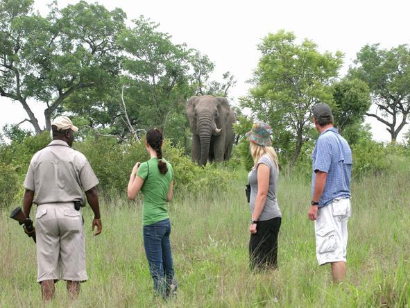 Fitzpatrick’s at Jock - Walking Safari 